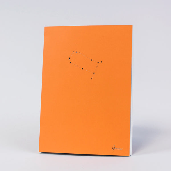 GEMINI HOROSCOPE JOURNAL PANTONE - Hadron Epoch
