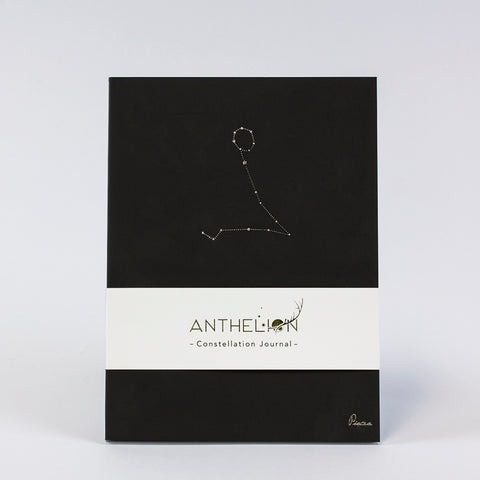 PISCES HOROSCOPE JOURNAL BLACK - Hadron Epoch