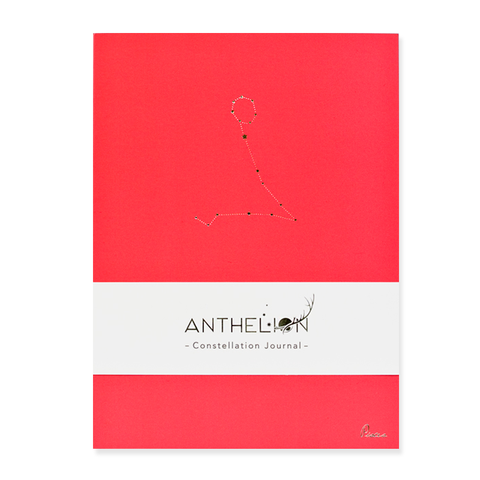 PISCES HOROSCOPE JOURNAL PANTONE - Hadron Epoch