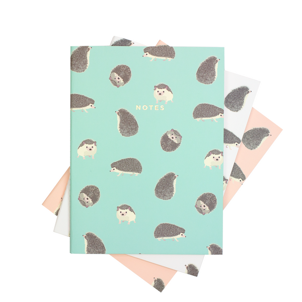 LARGE HEDGEHOG NOTEBOOK 3/SET - Hadron Epoch